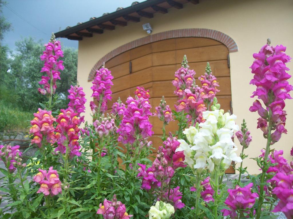 La Casa Dei Limoni Apartamento Matraia Exterior foto